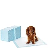 Amazon Basics Trainingspads für Hunde und Welpen, auslaufsicheres 5-lagiges Design mit schnell trocknender Oberfläche, Normal (100Stück), Blau