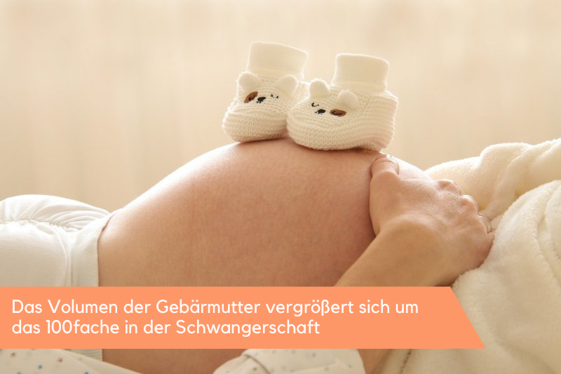 Schwangerer Bauch mit Babyschuhen drauf