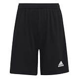 adidas Unisex Kinder Entrada 22 Shorts, Black, 9-10 Years