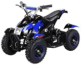 Mini Kinder Elektro Quad ATV Cobra ??? Watt 36 V Pocket Quad - Original Actionbikes Motors - Saftey Touch - 3 Geschwindigkeitsstufen - Kinder Bike (Schwarz/Blau)