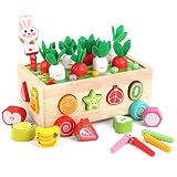 Montessori Spielzeug 2 Jahre | Holzspielzeug 2 Jahre | Montessori Sortierspiel Holzpuzzle Karottenernte | Lernspielzeug Geschenk für Kinder Kleinkind ab 2 3 4 Jahr | 7 in 1 Holzspielzeug