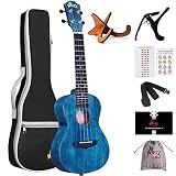 Winzz Ukulele 23 Zoll Konzert, Ukulele Erwachsene Anfänger, Kinder Ukulele Lernen Set (Handgefertigte Farben, Blau Matt)