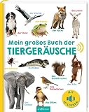 Mein großes Buch der Tiergeräusche: Mit 50 Sounds | Hochwertiges Soundbuch mit realistischen Sounds für Kinder ab 24 Monaten
