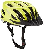 ALPINA Unisex - Kinder, FB JR. 2.0 FLASH Fahrradhelm, be visible reflectiv, 50-55 cm