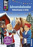 Die drei !!!, Weihnachtsponys in Gefahr: Adventskalenderbuch