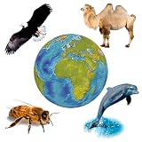 Tierweltgeräusche - Sammlung: Tierstimmen mit Fotos