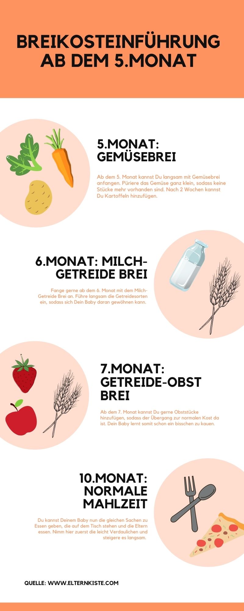 Infografik Beikosteinführung Infografik zu Beikosteiführung
