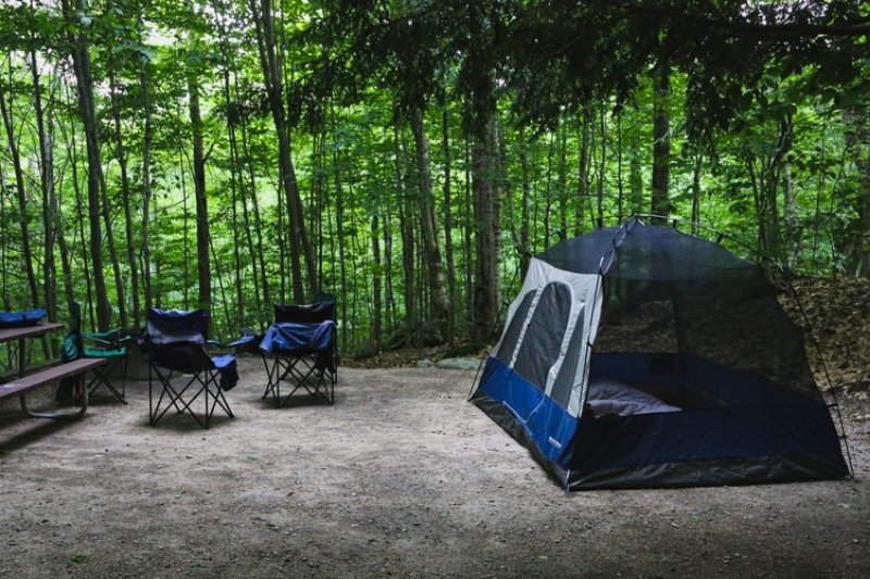 familienzelt-wald