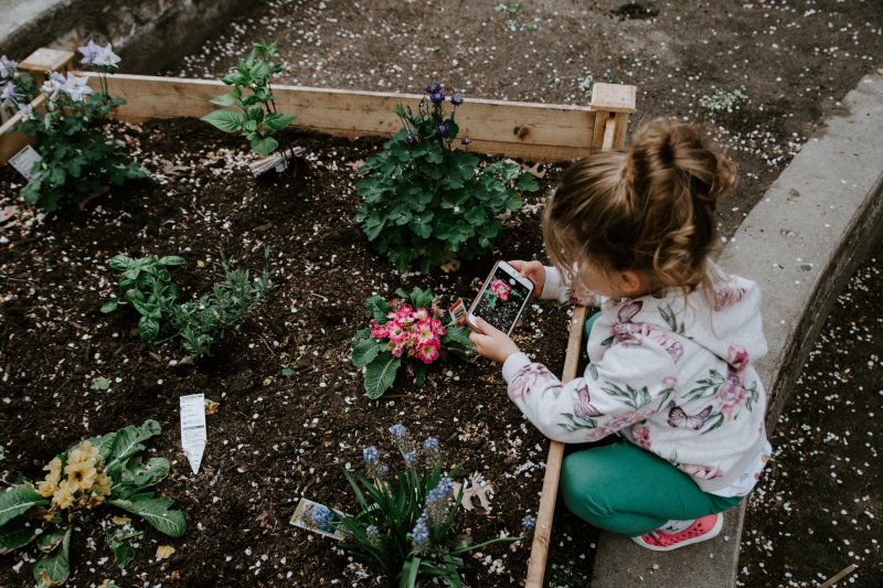 Ein Mädchen hält ein Handy für Kinder in den Händen und macht ein Foto von einer Blume im Blumenbeet. Ein Mädchen mach mit ihrem Kinderhandy ein Bild von einer Pflanze.