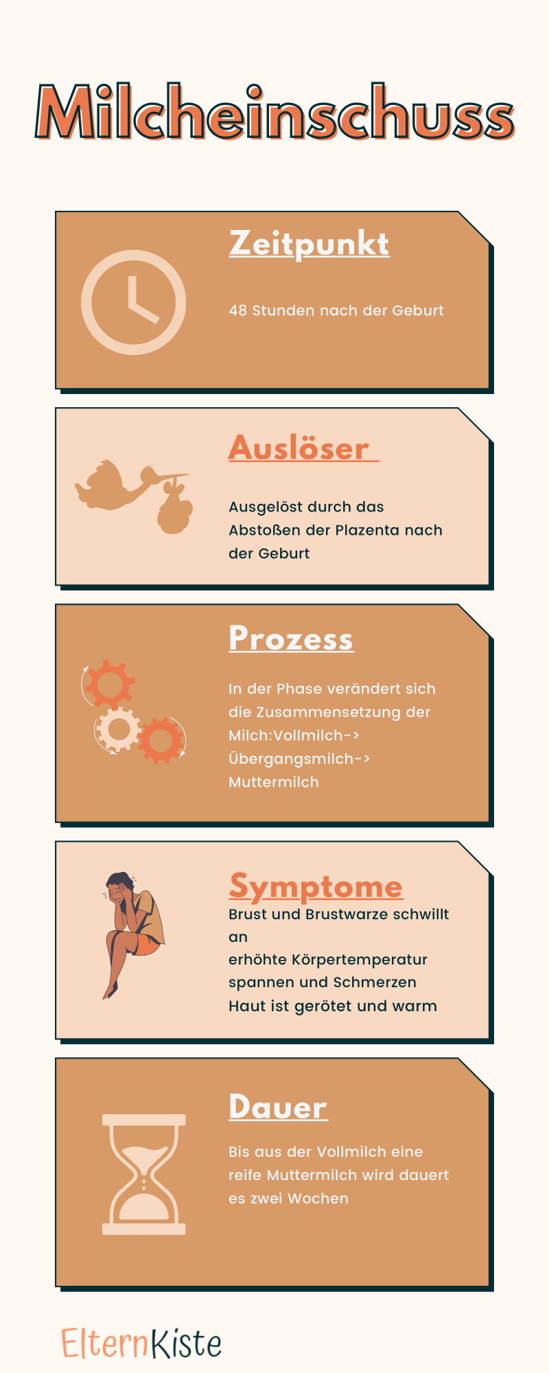 Infographik Milcheinschuss Infografik zu Milcheinschuss