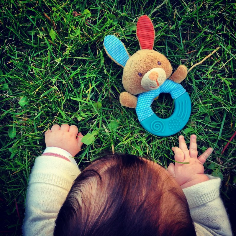Baby mit Rassel baby auf den rasen mit babyrassel