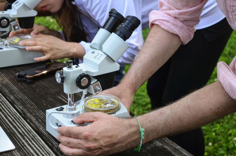 Wasserprobe draußen analysieren Schüler analysieren Wasserproben draußen