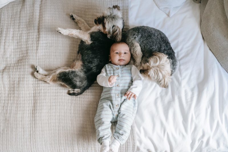 Wie ein Baby-Nestchen funktioniert Wie Baby-Nestchen eigentlich funktionieren