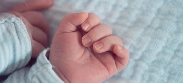 Newborn baby hands close up with selective focus